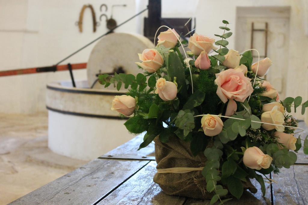 Masseria Gianecchia チステルニーノ エクステリア 写真