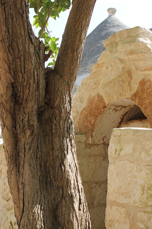 Masseria Gianecchia チステルニーノ エクステリア 写真