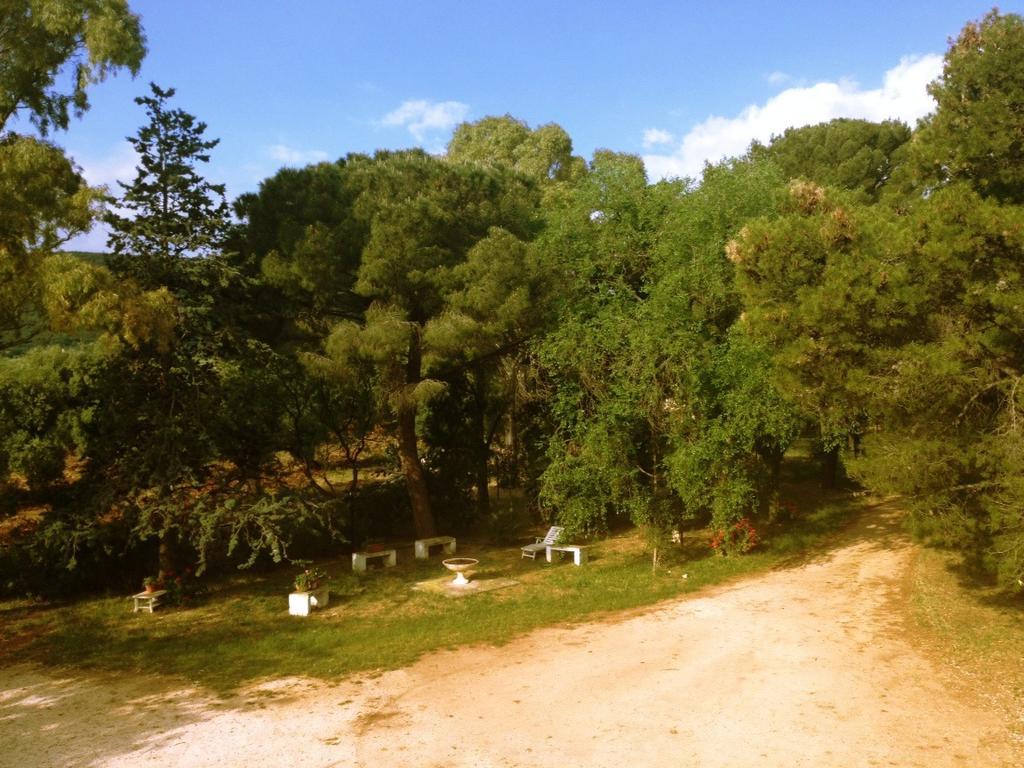Masseria Gianecchia チステルニーノ エクステリア 写真
