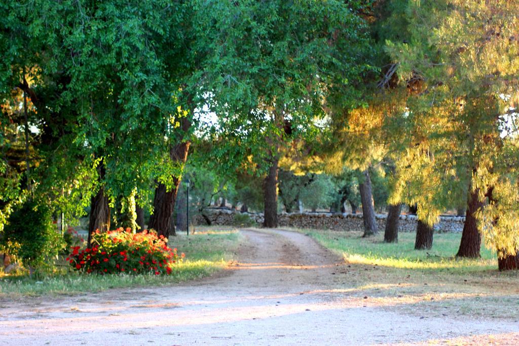 Masseria Gianecchia チステルニーノ エクステリア 写真