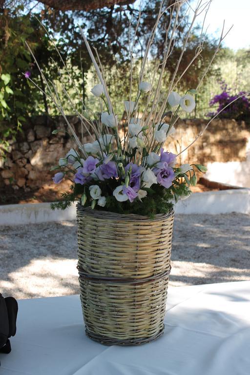 Masseria Gianecchia チステルニーノ エクステリア 写真