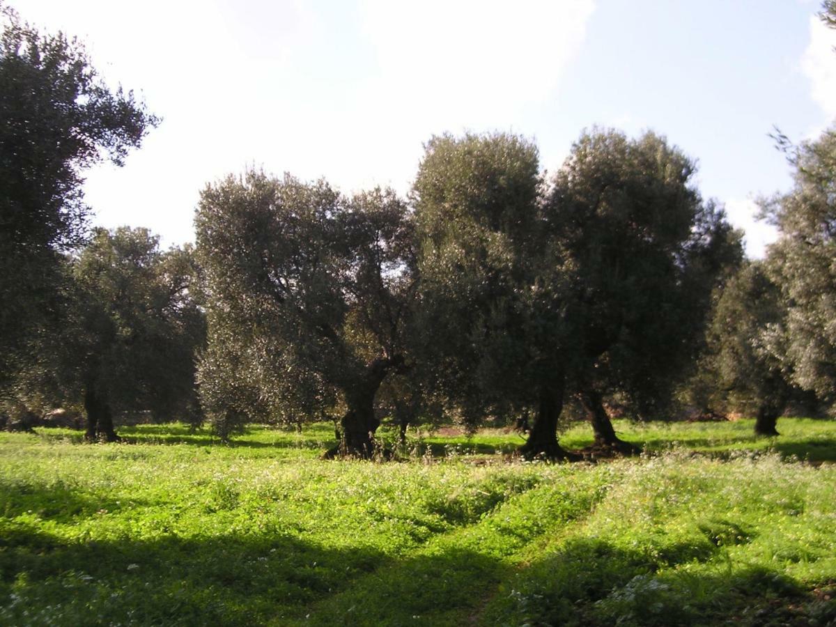 Masseria Gianecchia チステルニーノ エクステリア 写真